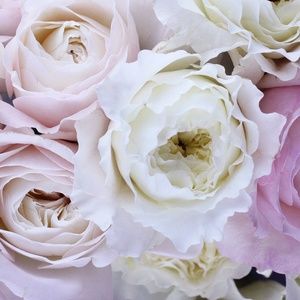 Meet your Posher, Olivesway